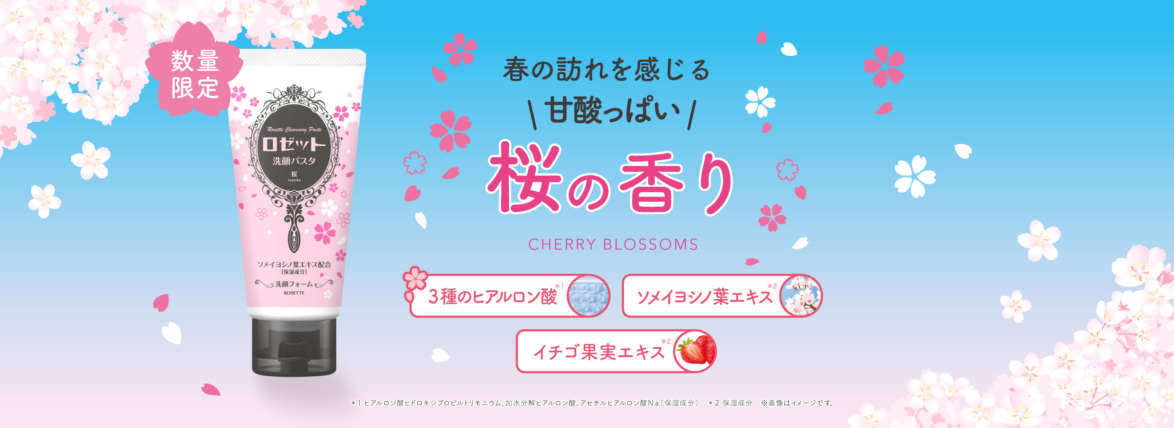 ロゼットオンラインショップ - ROSETTE ONLINE SHOP | ロゼット